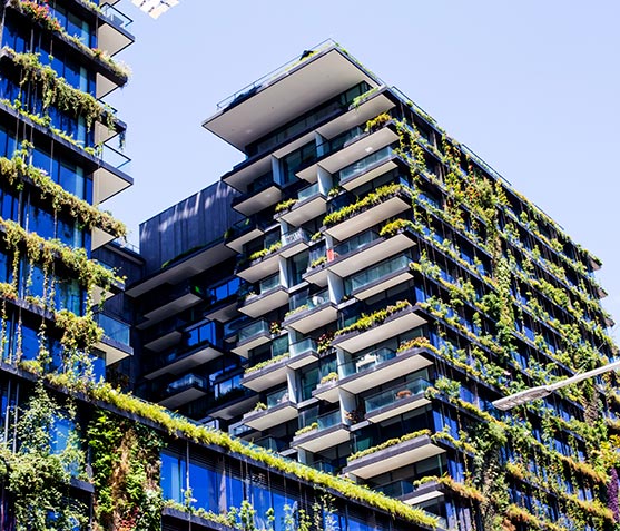 Sustainability in Hospitality